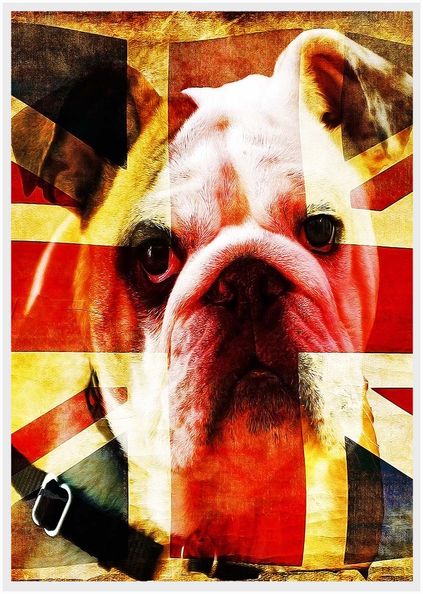 T11 British Bulldog Canvas Art Prints, T-Shirts, Posters, and Mugs, Cushion Cover Expressive Collection